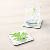 Asplenium Bird's nest fern – 白のスケッチ。 コースター (右側)