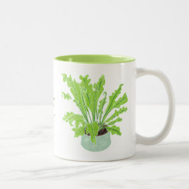Asplenium Bird's nest fern – 白のスケッチ。 ツートーンマグカップ