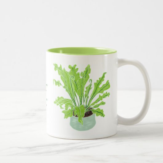 Asplenium Bird's nest fern – 白のスケッチ。 ツートーンマグカップ (右)