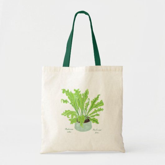 Asplenium Bird's nest fern – 白のスケッチ。 トートバッグ (正面)