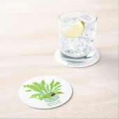 Asplenium Bird's nest fern – 白のスケッチ。 ラウンドペーパーコースター (インサイチュ)