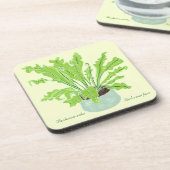 Asplenium Bird's nest fern – 黄色のスケッチ。 コースター (左側)