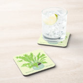 Asplenium Bird's nest fern – 黄色のスケッチ。 コースター (右側)