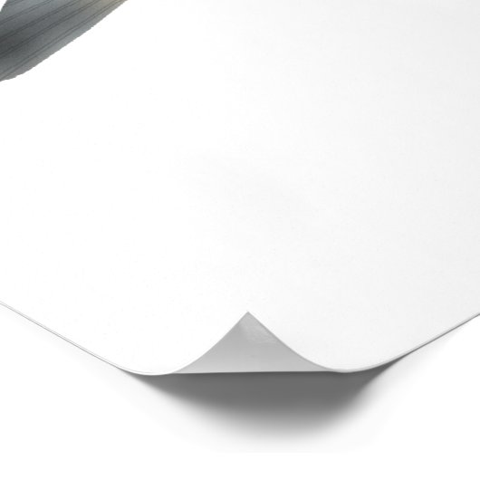 Assamese Kingfish ポスター (角)