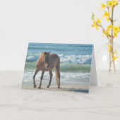 Assateagueのメッセージカードの野生の島の馬 カード (黄色い花)