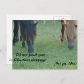 Assateagueの子馬のクリスマスカードおよびスタンプ シーズンポストカード (正面/裏面)