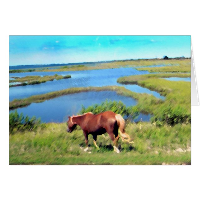 Assateagueの子馬 (正面横)