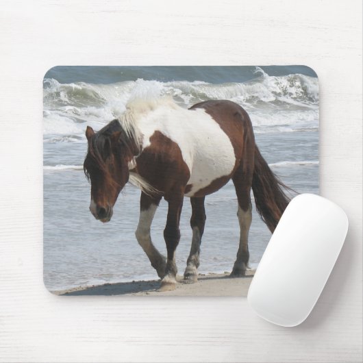 Assateagueの島の子馬 マウスパッド (マウス)