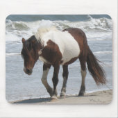 Assateagueの島の子馬 マウスパッド (正面)