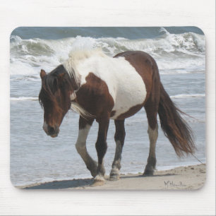 Assateagueの島の子馬 マウスパッド
