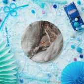 Assiette de carton photo d'une coccinelle ペーパープレート (パーティー)