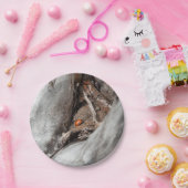 Assiette de carton photo d'une coccinelle ペーパープレート (パーティー)