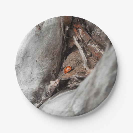 Assiette de carton photo d'une coccinelle ペーパープレート (正面)