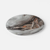 Assiette de carton photo d'une coccinelle ペーパープレート (アングル)