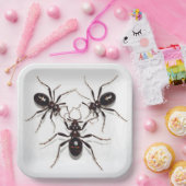 Assiettes en carton  Ant Feast ペーパープレート (パーティー)