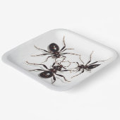 Assiettes en carton  Ant Feast ペーパープレート (傾斜あり)