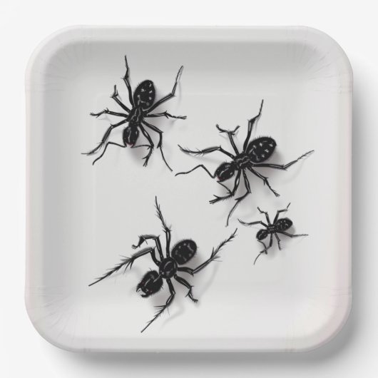 Assiettes en carton Spider Série 4-10 ペーパープレート (正面)