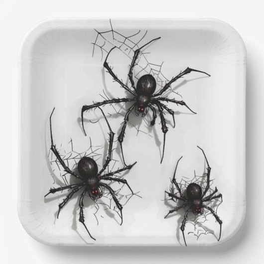 Assiettes en carton Spider Série 4-5 ペーパープレート (正面)