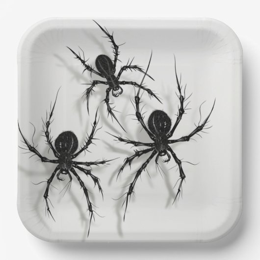 Assiettes en carton Spider Série 4-7 ペーパープレート (正面)