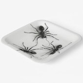 Assiettes en carton Spider Série 4-8 ペーパープレート (傾斜あり)