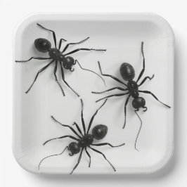 Assiettes en carton Spider Série 4-8 ペーパープレート