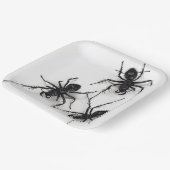 Assiettes en carton Spider Série 4-9 ペーパープレート (傾斜あり)