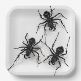 Assiettes en carton Spider Série 4-9 ペーパープレート