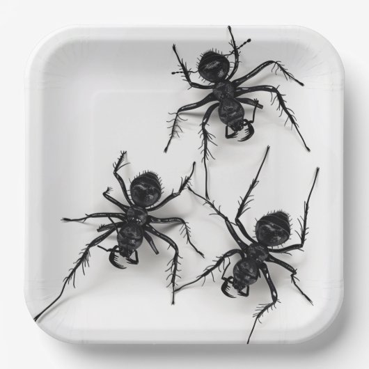 Assiettes en carton Spider Série 4-9 ペーパープレート (正面)