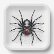 Assiettes en carton  Webs of Grace