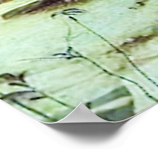 Assisiの聖フランシス – サンフランシスコ・デ・アシス07 ポスター (角)