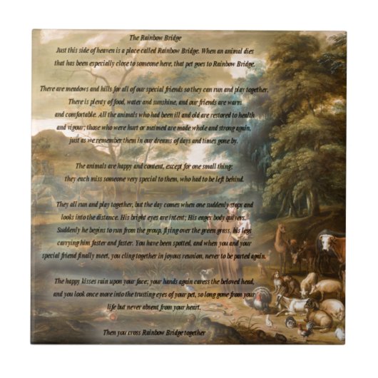 Assisi及び虹橋のSt Francis タイル (正面)