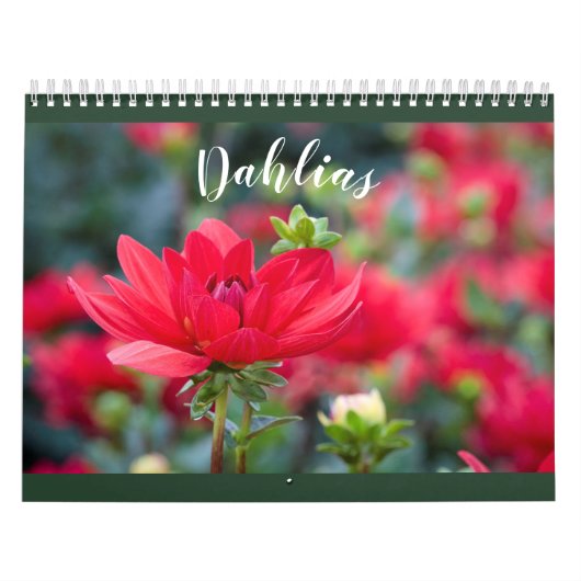 Assorted カラフル Dahlia 2021花の写真 カレンダー (カバー)