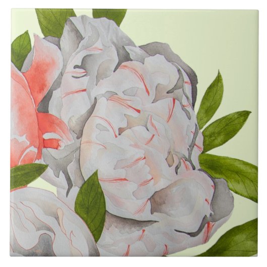 Assorted Peonies on a Ceramic Tile (D) タイル (正面)
