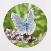 Assorted Stickers ラベル (デザイン2)