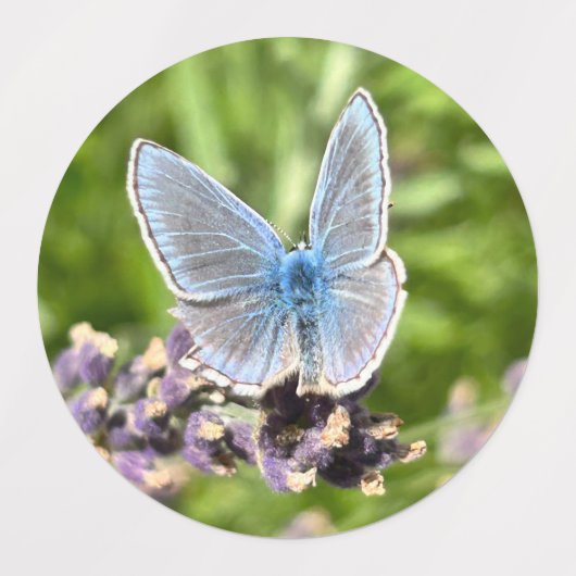 Assorted Stickers ラベル (デザイン2)