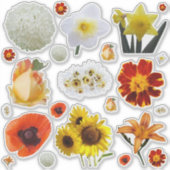 Assorted White Yellow Orange Flowers シール (正面)