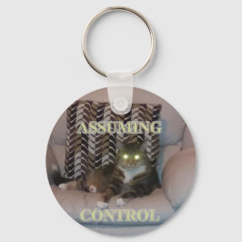 Assuming Control cat keychain キーホルダー