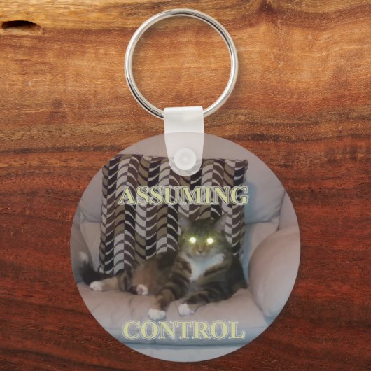 Assuming Control cat keychain キーホルダー (正面)