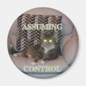 Assuming Control cat magnet マグネット (正面)