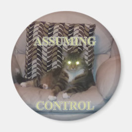 Assuming Control cat magnet マグネット