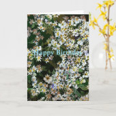 ASTER FLOWERS カード (黄色い花)