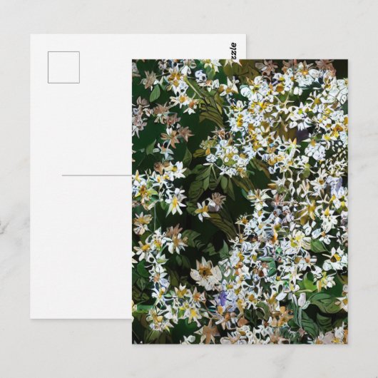 ASTER FLOWERS ポストカード (正面/裏面)