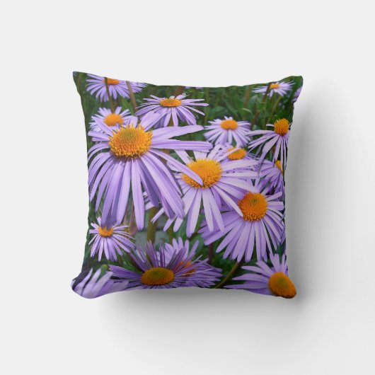 Aster tongolensis ～装飾用クッション クッション (正面)