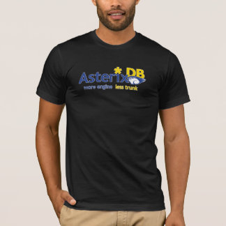 AsterixDB Tシャツ