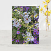 Asters カード (黄色い花)