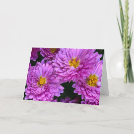 Asters in Full Bloom Blank Card サンキューカード