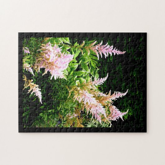 Astilbe ジグソーパズル (横)