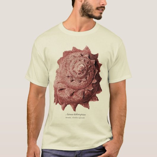 Astraeaのheliotropium Tシャツ (正面)