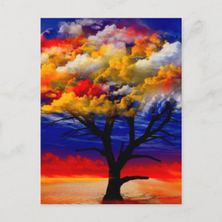 astrology 2012〔占星術の〕十二宮図シンボルや象徴 ポストカード