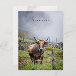 Asturias Mountain Cow Travel ポストカード